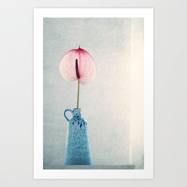 Foto Kunst Print A4 Stillleben mit Flamingoblüte