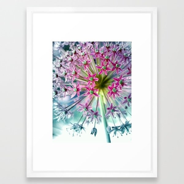 Foto Kunst Print A4 Allium pink türkis