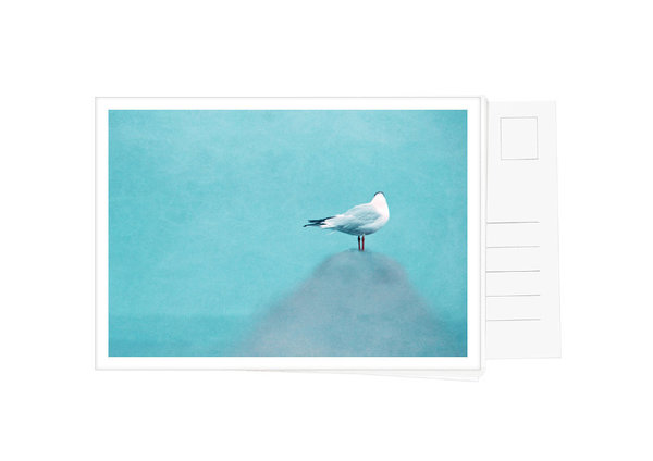 Postkarten Set mit 6 Karten aus Ostsee Serie "Meeresgeflüster"