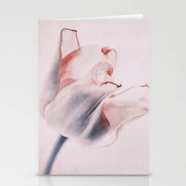 Kunst Karte mit Umschlag Tulpe altrosa