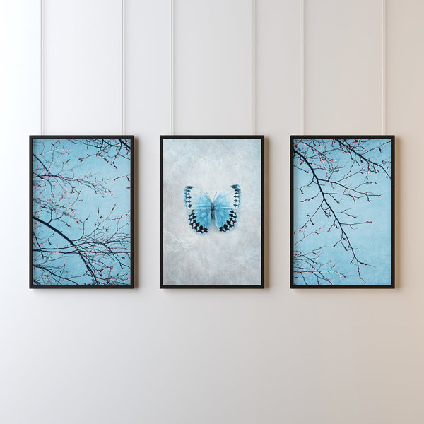 3er Printset A4 Butterfly blau