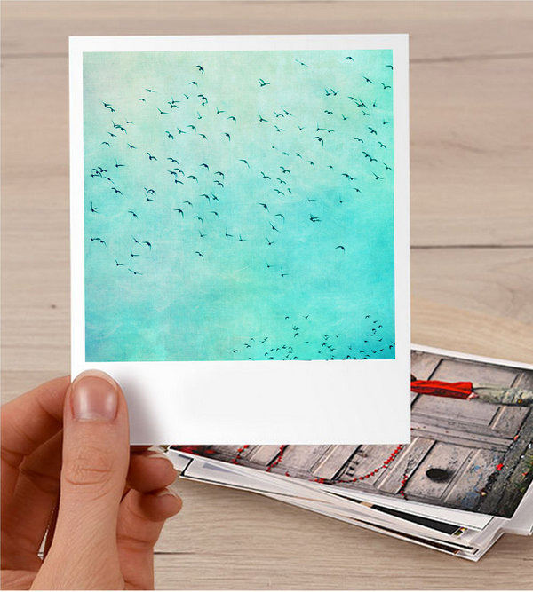 Süße Fotokarte im Retro Polaroid Stil Birds 10x12cm