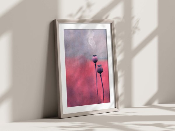 Fotoaquarell - Kunstdruck A4 - Mohnkapseln in rosa