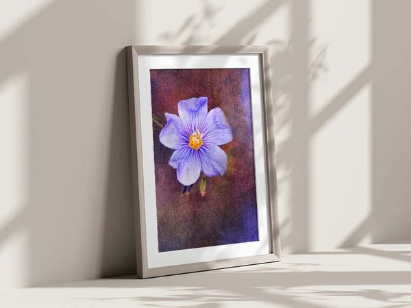 Kunstdruck A4 - Blüte flieder